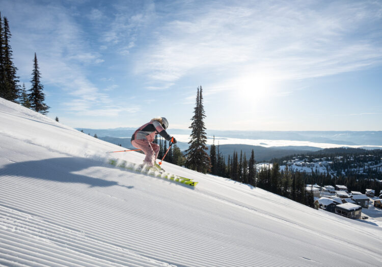 Los Angeles to Silver Star Village